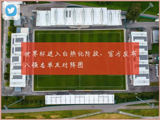 世界杯进入白热化阶段，官方发布八强名单及对阵图