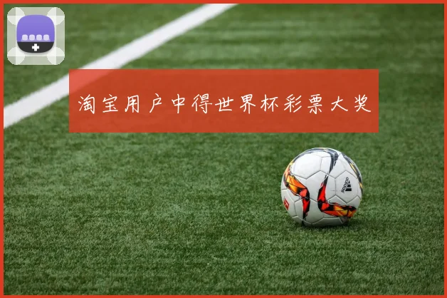 淘宝用户中得世界杯彩票大奖
