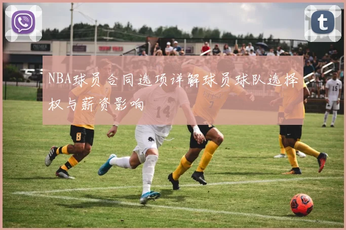 NBA球员合同选项详解球员球队选择权与薪资影响