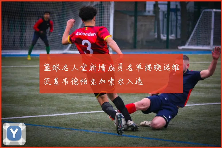 篮球名人堂新增成员名单揭晓诺维茨基韦德帕克加索尔入选