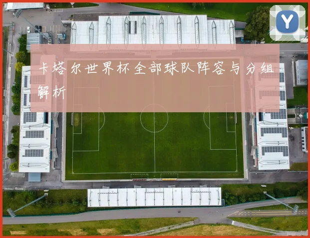 卡塔尔世界杯全部球队阵容与分组解析