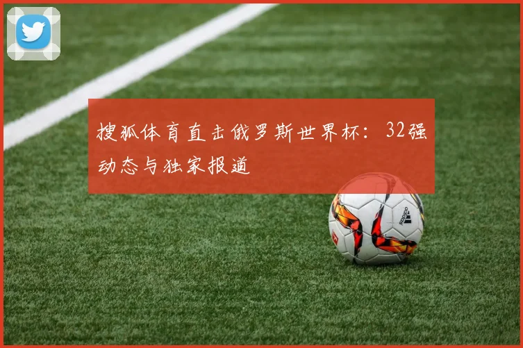 搜狐体育直击俄罗斯世界杯：32强动态与独家报道