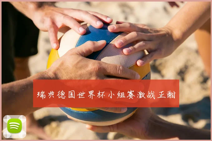 瑞典德国世界杯小组赛激战正酣