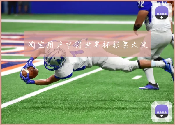 淘宝用户中得世界杯彩票大奖