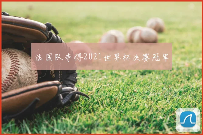 法国队夺得2021世界杯决赛冠军